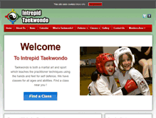 Tablet Screenshot of itkdc.com